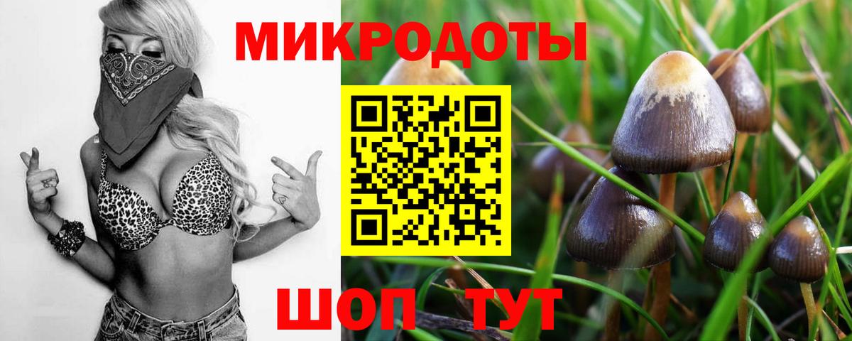 Сибай  Псилоцибиновые грибы Magic Shrooms  Вход с VPN 
